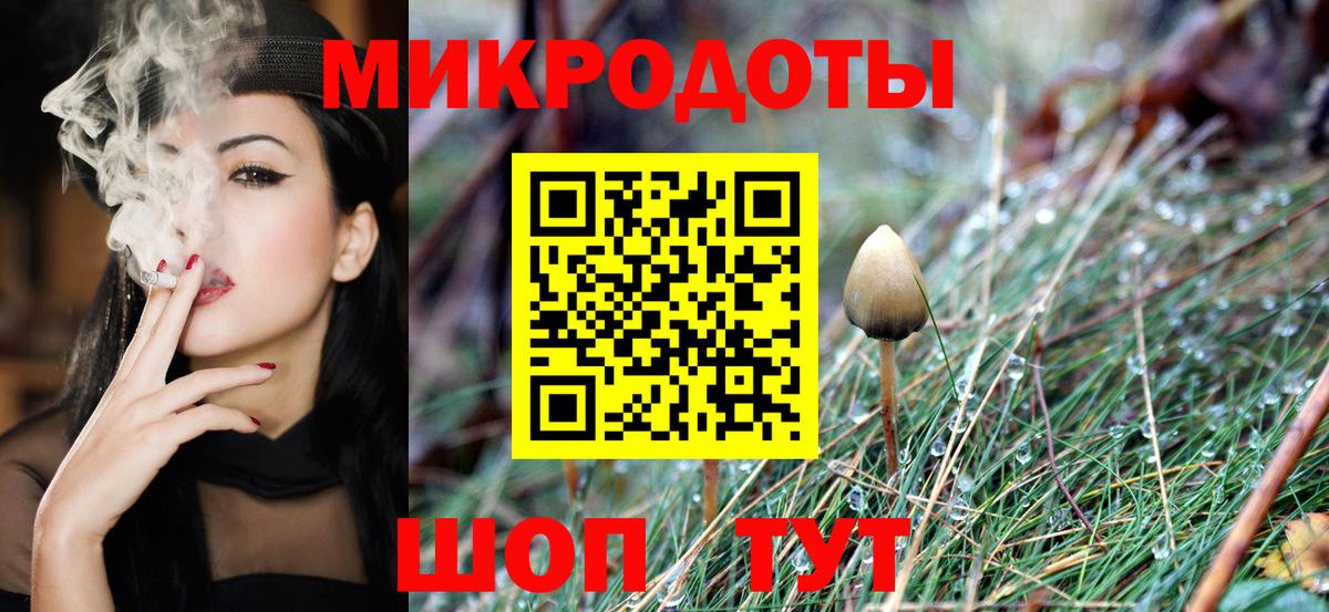 Галлюциногенные грибы Psilocybine cubensis Ялуторовск